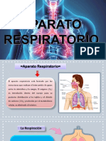 El funcionamiento del aparato respiratorio