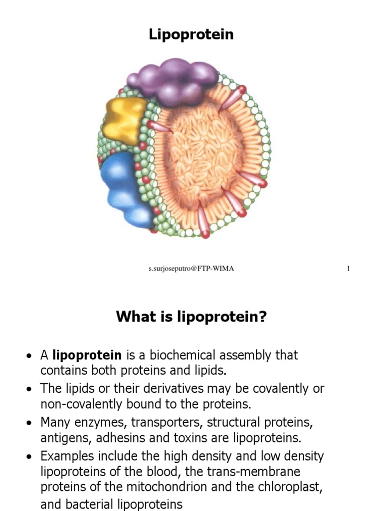 449184 LIPOPROTEIN ppt Lipoprotein High Density 