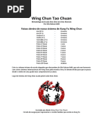 Curriculo Do Wing Chun Completo