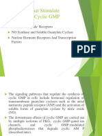 Receptors That Stimulate Cyclic GMP