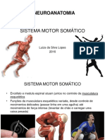 Sistema Motor