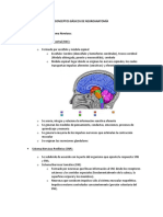 Resumen Conceptos Básicos de Neuroanatomía
