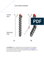 Quimica de Los Acidos Grasos