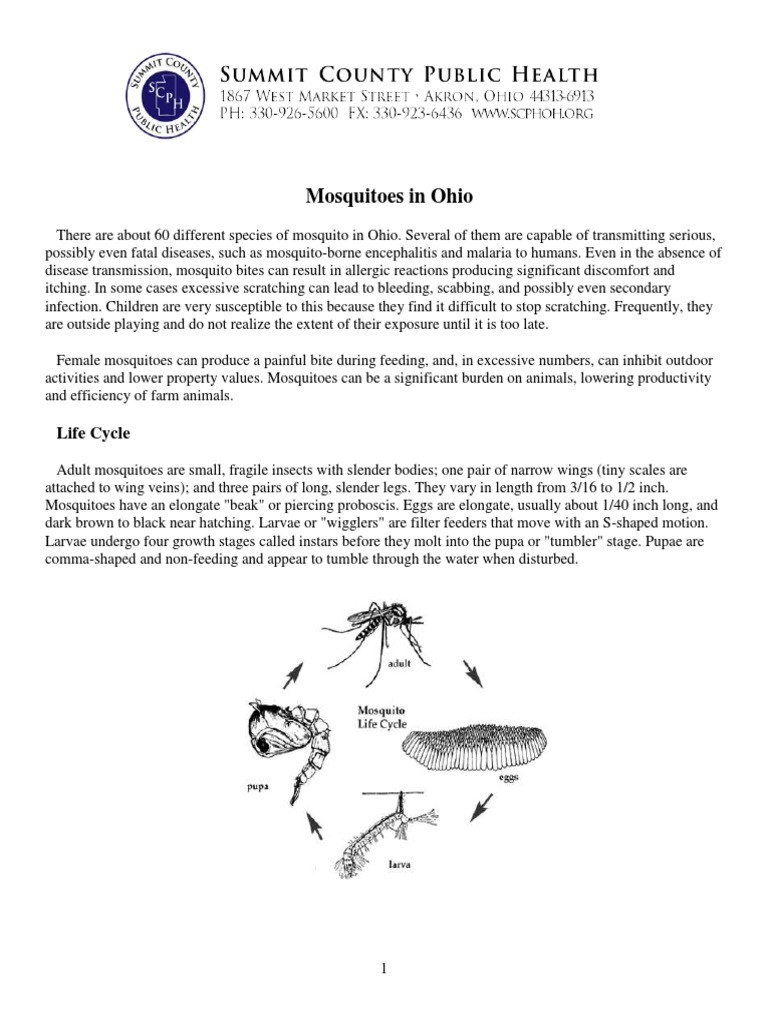 Mosquitoes in Ohio PDF Mosquito Wellness