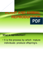 Plant and Animal Reproduction 28 For Presentation 29