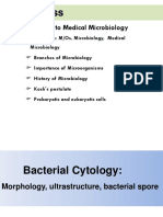 Bacterial Taxonomy Mu