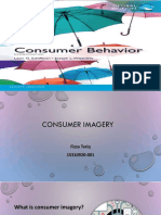 Consumer Imagery Insights