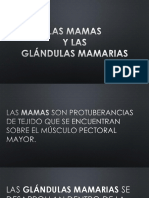 Mama Alumnos