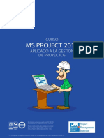 Ms Project