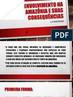 Desenvolvimento Na Amazônia e Suas Consequências