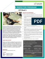 CIP-NIVEL-1.pdf