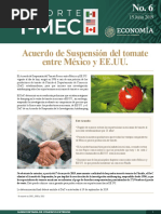 Reporte-TMEC_n06-esp_20190715_