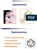 Papi Loma Virus