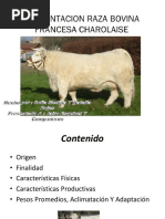 Características de la Raza Charolais | PDF