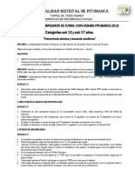 Copa Verano Futbol Pitumarca 2019 sub 13-17