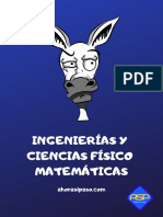 Fisico Matematico