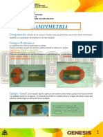 Neurofisiologia Campimetria