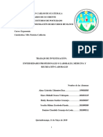 Investigacion Sobre Enfermedades Laborales - FINAL Para Imprimir