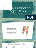 SISTEMA MUSCULO ESQUELETICO.pptx