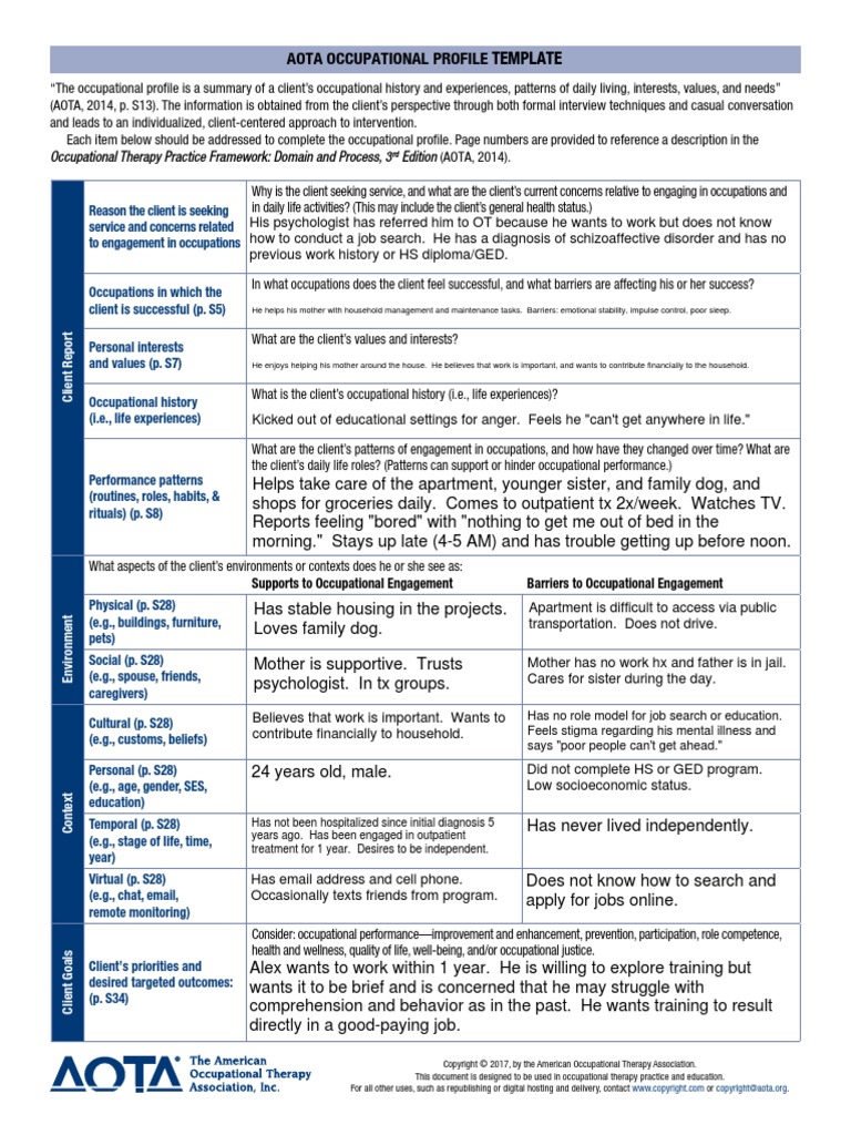 Aota Occupational Profile Alex | PDF | Occupational Therapy ...
