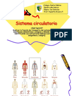 Sistema circulatorio, 5to.ppt