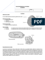 GUIA 7mo - CCNN - La Célula