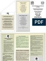 Triptico Tutores PIT Individuales.pdf