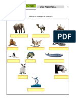 los animales.pdf