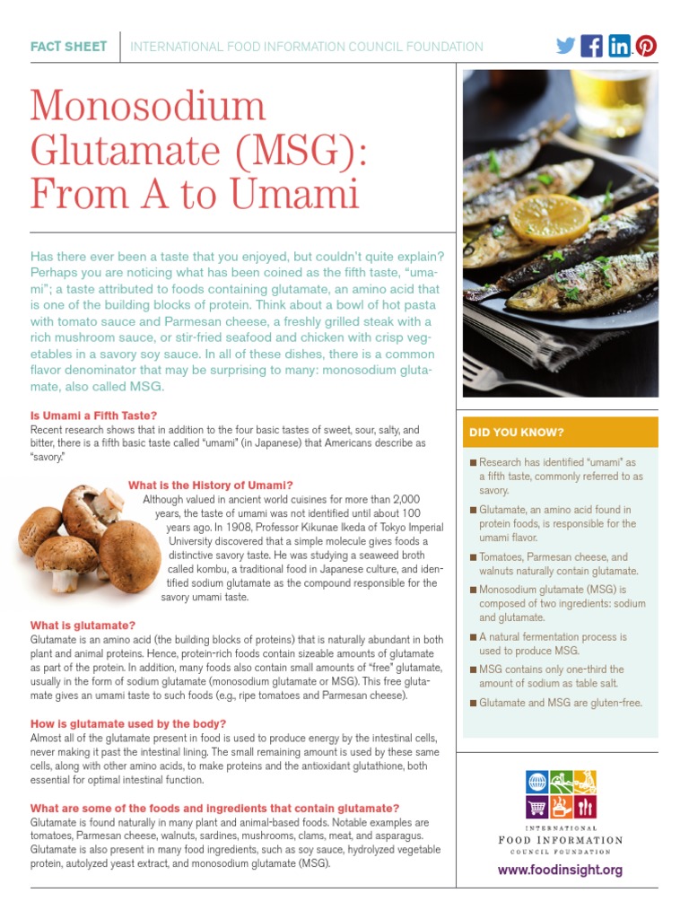 Monosodium Glutamate MSG Fact Sheet | PDF | Umami | Glutamic Acid