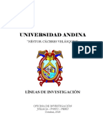 Lineas de investigacion UNIVERSIDAD ANDINA NESTOR CACERES VELASQUEZ