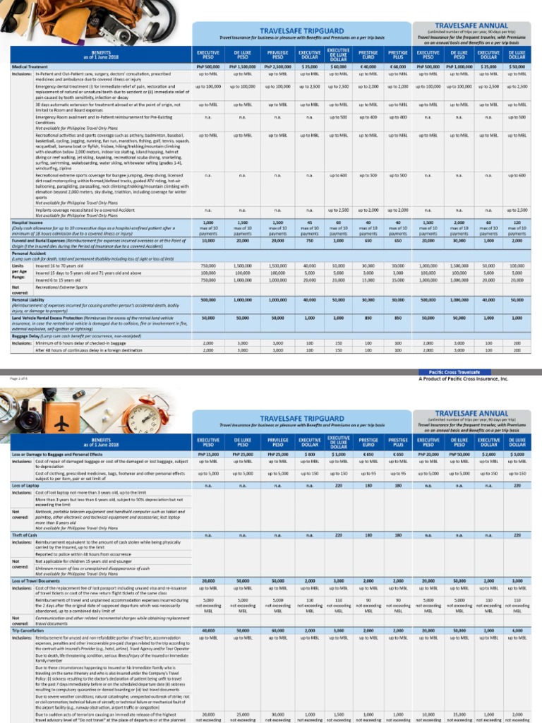 Pacific Cross Travelsafe Insurance Guide | PDF | Business | Finance ...