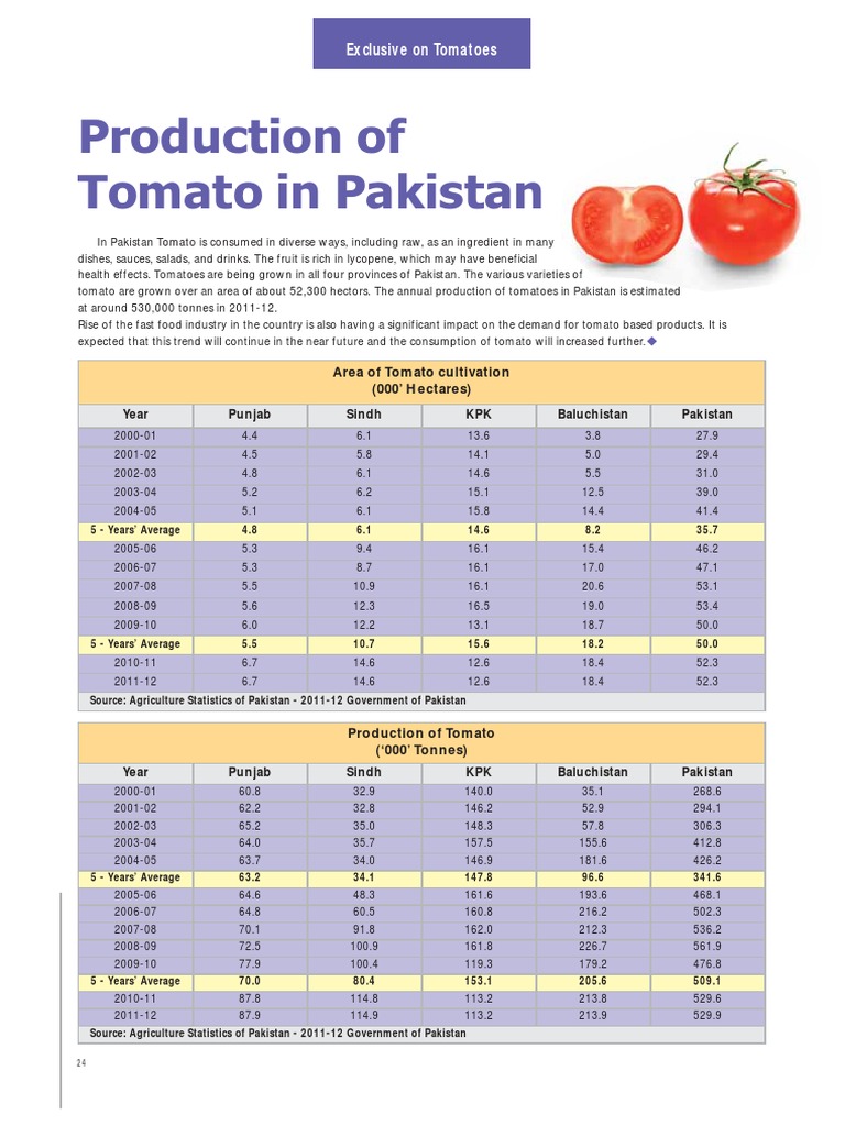 Production of Tomato in Pakistan Exclusive On Tomatoes PDF Tomato