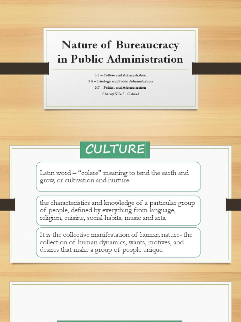 Understanding Bureaucracy in Administration | PDF | Bureaucracy | Max Weber