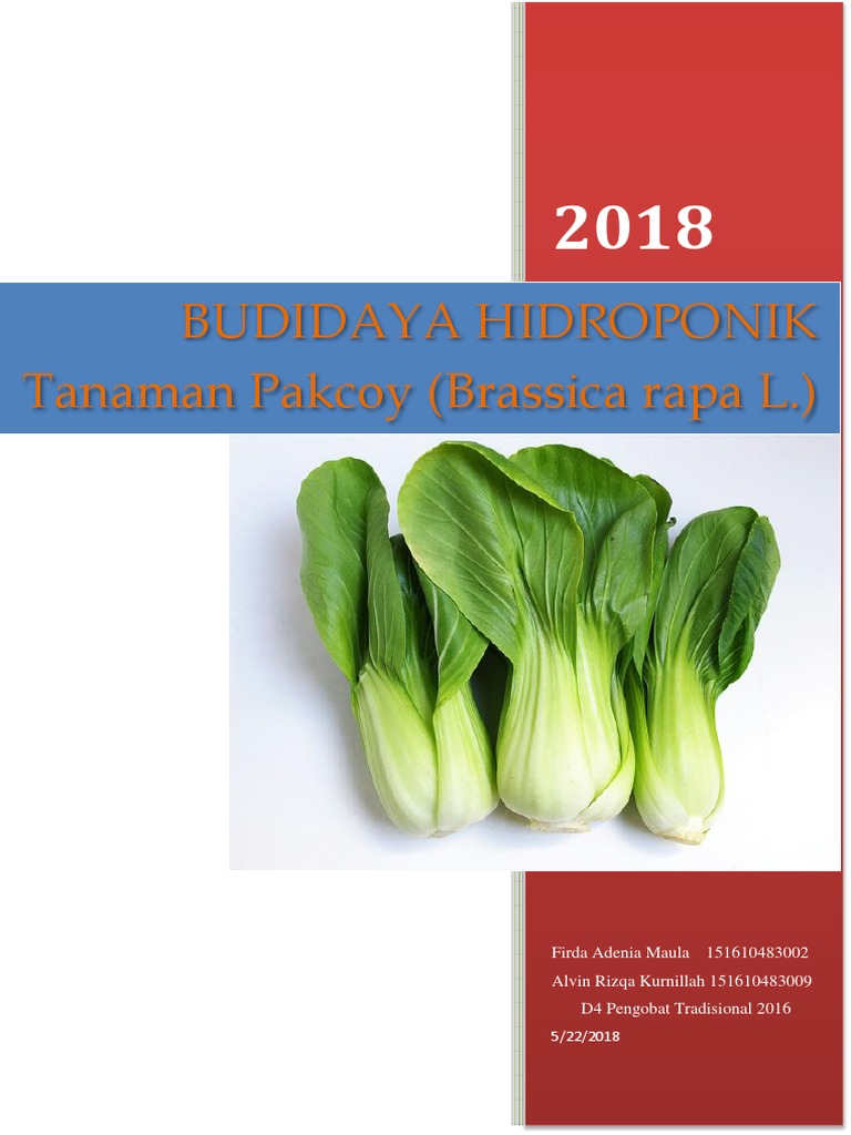 Makalah Hidroponik Tanaman Pakcoy Docx