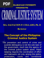 Criminal Justice System