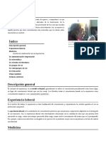 Experiencia.pdf