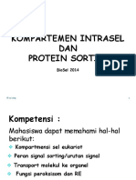 04 - Kompart & Sorting Protein 1 - News