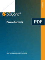 Payara Server Data Sheet
