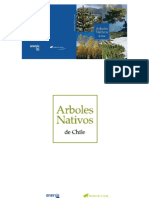 386568508-Arboles-nativos-de-Chile.pdf