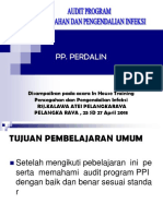 Audit Program Ppi