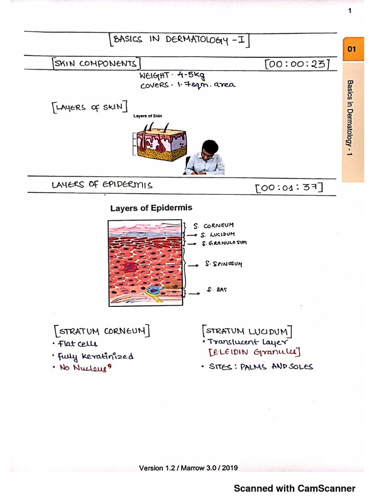 Dermatology Lecture Notes PDF | PDF