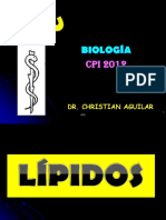 5 CFC - LÍPIDOS.ppt