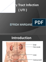 1. Urinary Tract Infection - UTI.pptx