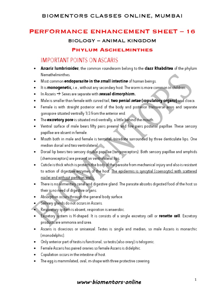 Ascaris and Other Roundworms Overview | PDF | Medical Specialties ...