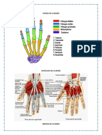 Plan de Charla Infarto Agudo