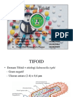 Demam Tifoid Fix 2