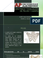 Evaluación física de cadera y pelvis