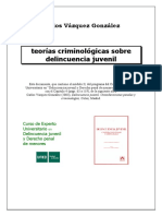 Teorías criminológicas.pdf