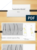 Anatomía Dental