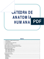 1ER AÑO MEDICINA 2013-ANATOMIA HUMANA.pdf